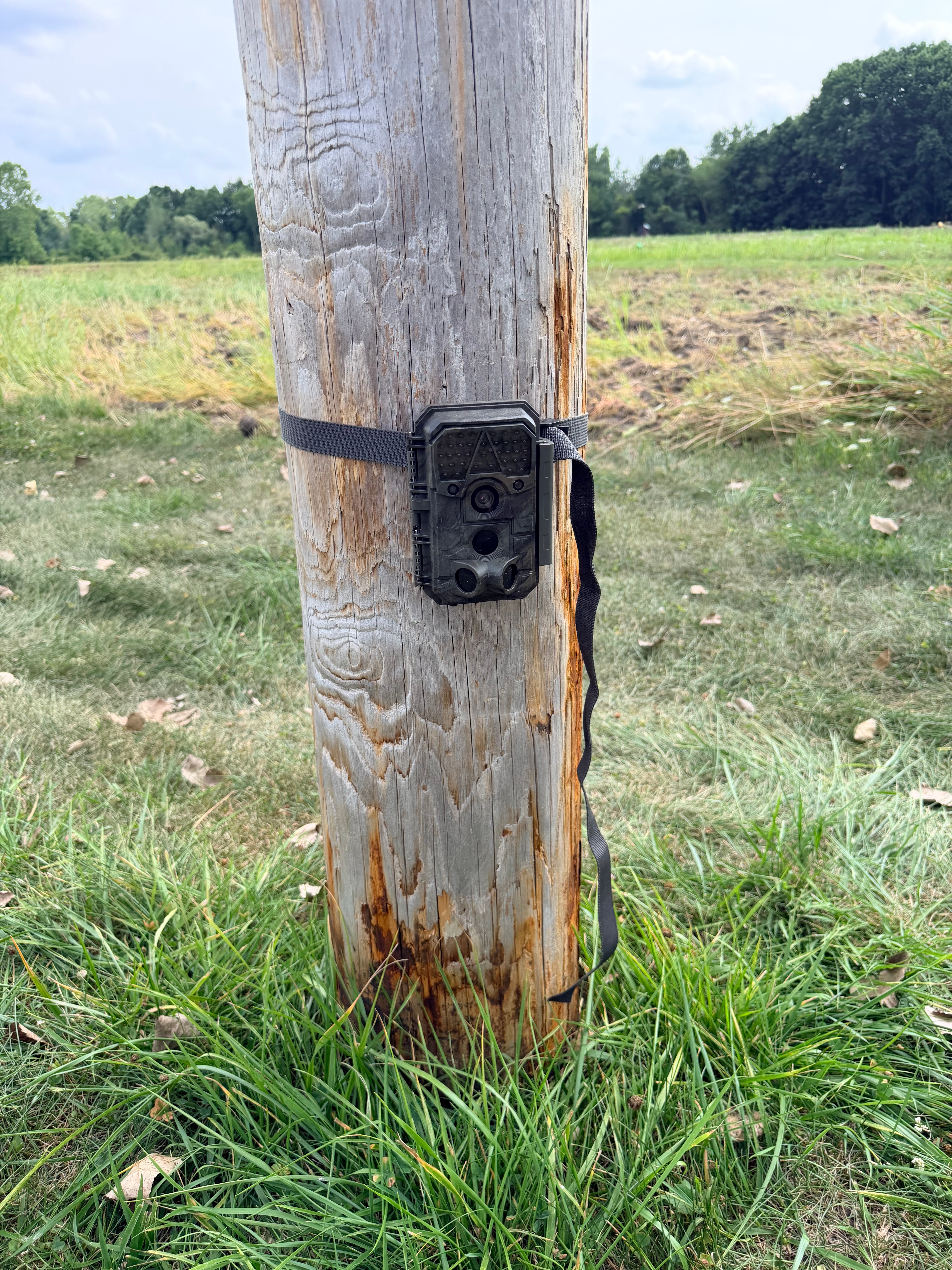 A trail camera installed on a wooden pole in a field.